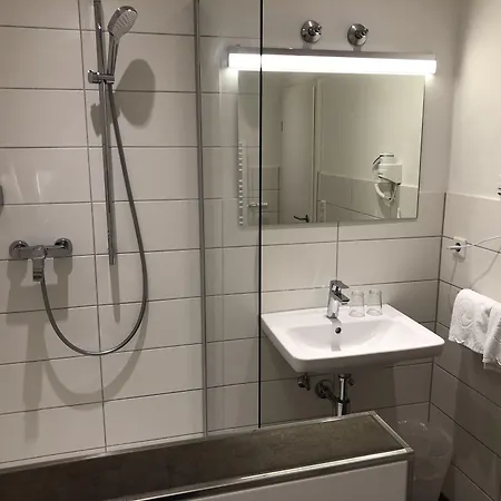 Hotel-gasthof Floetzinger Braeu 3*